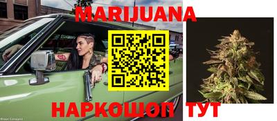 гидра Братск