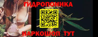 гидра Братск