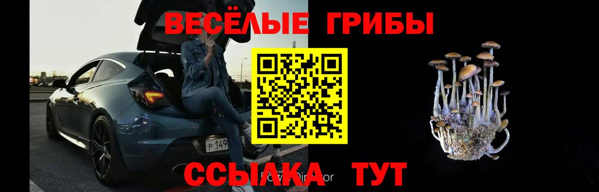 Псилоцибиновые грибы мицелий  Галлюциногенные грибы Cubensis  Вход с VPN  цена   Богданович 